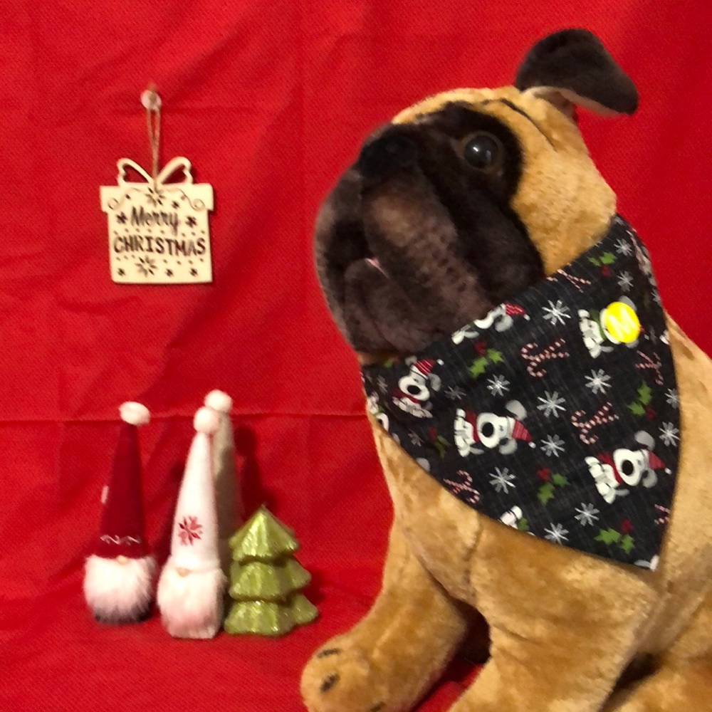 Pet Bandanna